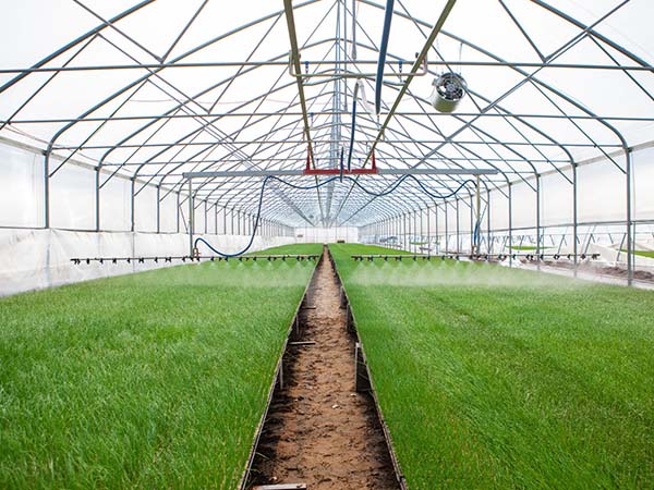 Sulfur Burners Chile