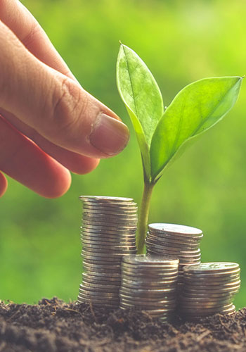 Sulfur Burners Chile