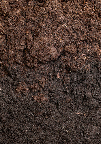 Sulfur Burners Chile